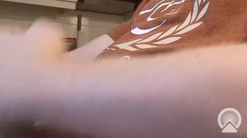 Snapshot of nick_x_b chatting on December 9, 2024, 5:19 pm nick_x_b online show from December 9, 2024, 5:19 pm