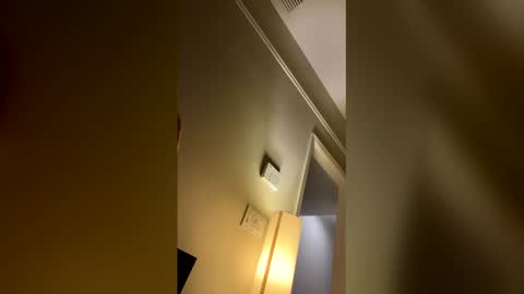 nickvicky420 online show from January 11, 2026, 2:38 am