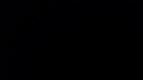 Nicole online show from September 11, 2025, 11:43 am