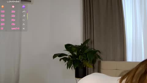 Nicol online show from February 12, 2026, 7:25 am