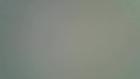 night__light online show from December 4, 2025, 4:00 am