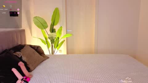 Daisy nd Tyler 3 online show from September 13, 2025, 11:59 pm