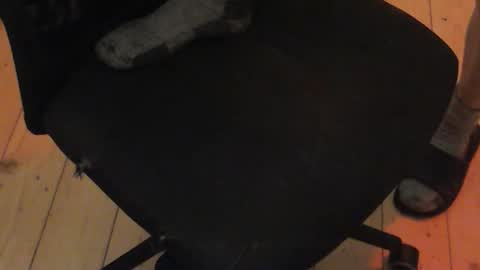 nikitalo online show from October 30, 2025, 4:36 am