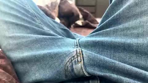 NIk online show from February 25, 2025, 10:47 am