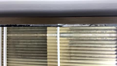 Snapshot of nikkii_vegaa chatting on October 14, 2025, 3:07 am Nikki online show from October 14, 2025, 3:07 am