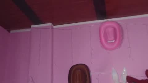 Snapshot of nikkirous_ chatting on March 3, 2025, 12:37 pm Nikkirous online show from March 3, 2025, 12:37 pm