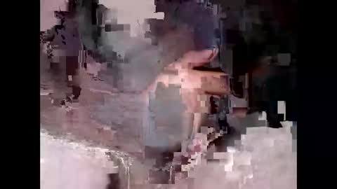 nikolaforfun online show from November 9, 2025, 4:27 pm