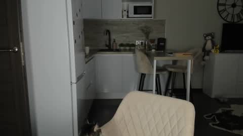 Bella online show from February 21, 2026, 12:55 am