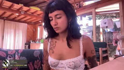 Nina.  online show from October 10, 2025, 7:24 pm