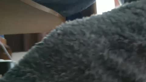 Snapshot of nineinchhard chatting on October 20, 2025, 9:43 am nineinchhard online show from October 20, 2025, 9:43 am