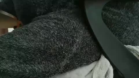 Snapshot of nineinchhard chatting on October 22, 2025, 10:26 am nineinchhard online show from October 22, 2025, 10:26 am