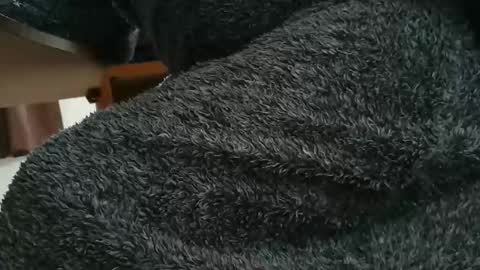 Snapshot of nineinchhard chatting on October 28, 2025, 10:19 am nineinchhard online show from October 28, 2025, 10:19 am