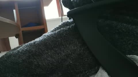 Snapshot of nineinchhard chatting on October 30, 2025, 10:49 am nineinchhard online show from October 30, 2025, 10:49 am