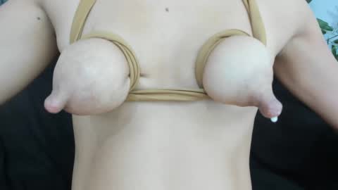 Snapshot of nippx_big chatting on October 5, 2025, 6:17 pm ANTO online show from October 5, 2025, 6:17 pm