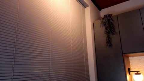 noah_dupont_ online show from November 8, 2025, 11:32 am