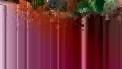 nocturnus1980 online show from January 16, 2026, 5:44 am