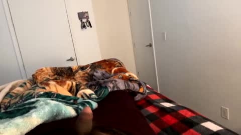 se le perdio algo perra hp online show from January 2, 2025, 4:24 pm