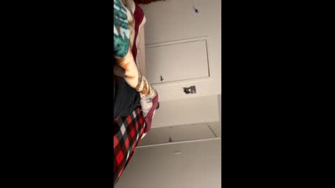 se le perdio algo perra hp online show from January 10, 2025, 9:02 am