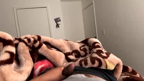 se le perdio algo perra hp online show from March 7, 2025, 8:13 am