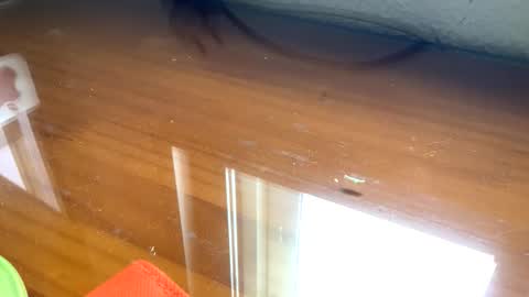 Snapshot of nudistadepilado chatting on September 13, 2025, 10:04 am nudistadepilado online show from September 13, 2025, 10:04 am