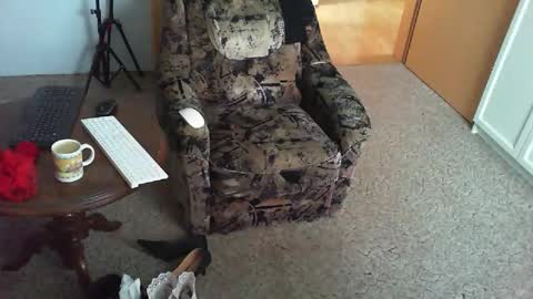 Snapshot of nyloniasau chatting on November 3, 2025, 8:48 am Strumpfhose online show from November 3, 2025, 8:48 am