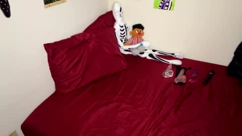 Nymphaea online show from November 14, 2025, 12:31 am