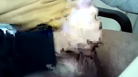 Snapshot of officersex_y chatting on November 23, 2025, 1:33 pm officersex y online show from November 23, 2025, 1:33 pm