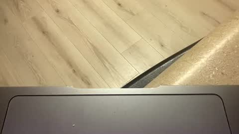 ofthatguy online show from October 24, 2025, 2:30 am