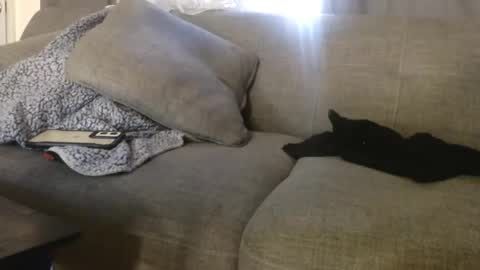 Snapshot of ogdigbick chatting on November 4, 2025, 2:16 pm OGDigBick online show from November 4, 2025, 2:16 pm