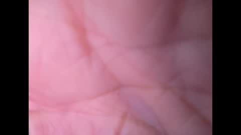 oldaddy2 online show from September 21, 2025, 7:10 am