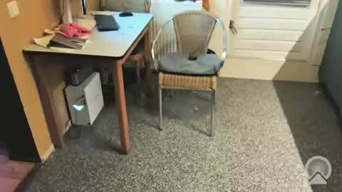 oldersagger online show from December 4, 2025, 5:43 pm