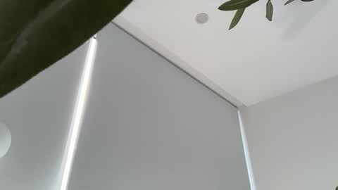 Olivia Brookes online show from November 30, 2025, 9:19 pm