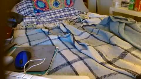 Mattu online show from November 11, 2025, 7:41 am