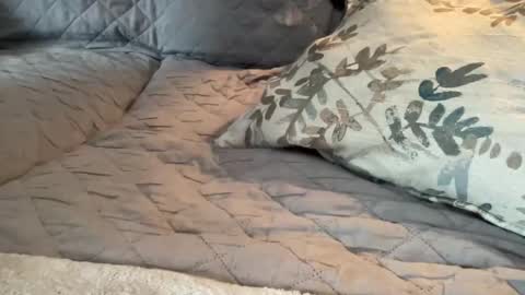 onthedlhere online show from January 9, 2025, 7:18 pm