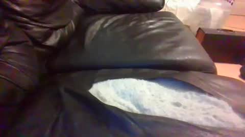 oofers123jvgf online show from March 9, 2025, 9:46 am