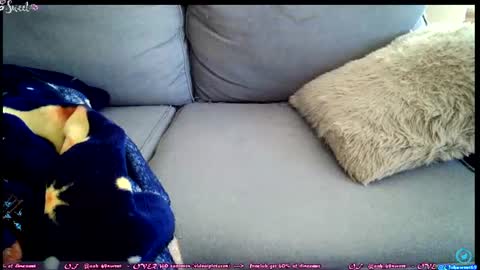 Snapshot of ooh_sweet chatting on June 27, 2026, 2:34 pm OF - Ooh 69sweet SNAP4LIFE OFFLINE 899 normal VIP 1369 outside online show from June 27, 2026, 2:34 pm