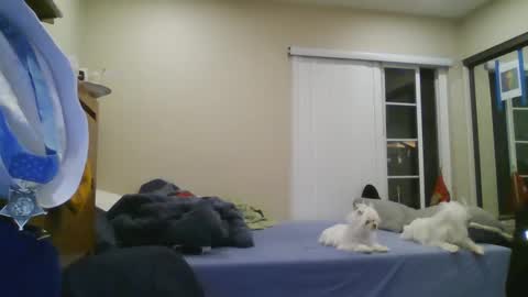 oorah1775 online show from December 22, 2024, 5:12 am