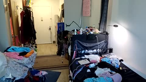 Snapshot of opalockajoe chatting on February 21, 2025, 8:27 pm TsJojo online show from February 21, 2025, 8:27 pm