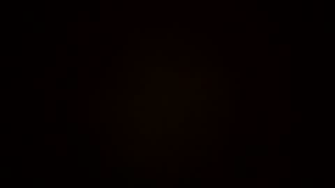 oralzoo2 online show from October 8, 2025, 12:30 am