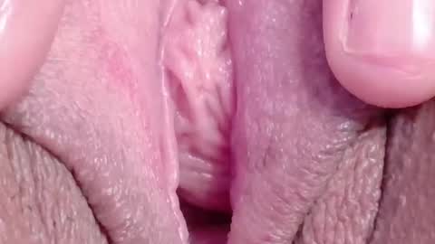 orchidekitty online show from March 18, 2026, 9:18 pm