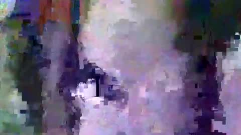 Snapshot of oretrail chatting on February 11, 2025, 5:37 am oretrail online show from February 11, 2025, 5:37 am