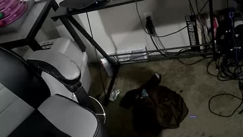 orgasmgiver9090 online show from March 20, 2026, 7:52 pm