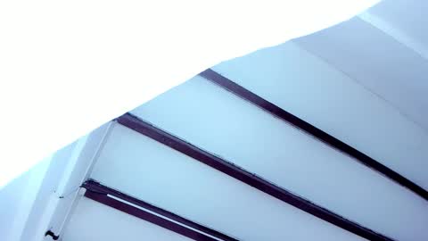 Miss Guzman  online show from February 5, 2025, 11:44 am