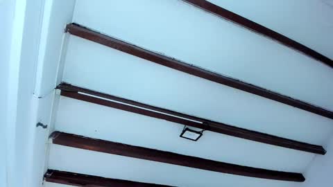 Miss Guzman  online show from February 6, 2025, 12:16 pm