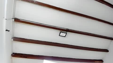 Miss Guzman  online show from February 7, 2025, 6:24 pm