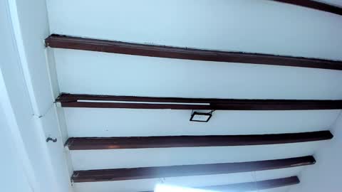 Miss Guzman  online show from February 9, 2025, 2:28 am