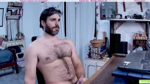 Snapshot of osito_blanco chatting on May 12, 2026, 12:08 am Osito Blanco online show from May 12, 2026, 12:08 am