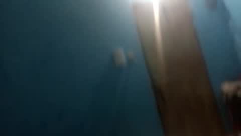 osogor online show from January 14, 2026, 7:14 am