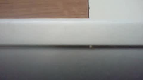 p9plot online show from March 29, 2026, 3:01 pm