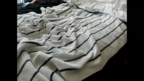 p guin12345 online show from April 24, 2026, 3:25 pm